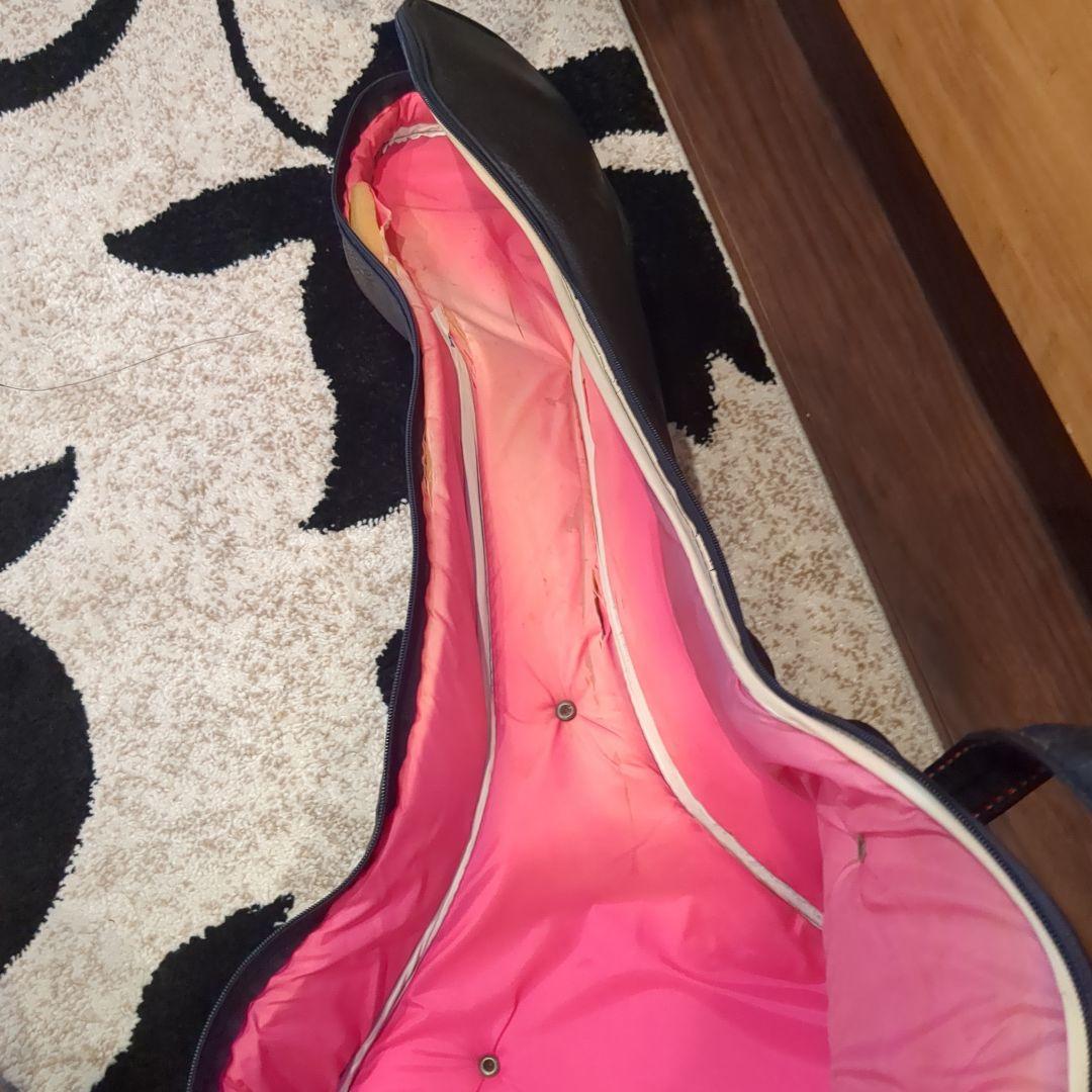 くらららげEpiphone エピフォン アコースティックギターPR-350