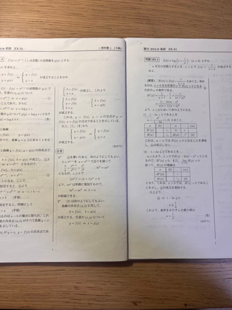 駿台大阪校　数学ZX 前期・後期　npppさん専用