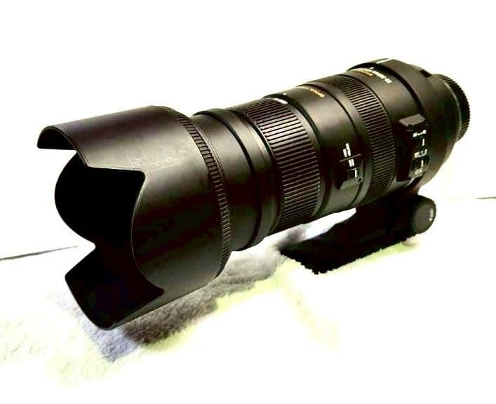 SIGMAシグマAPO50-500mmF4.5-6.3 DGOS HSMニコン用