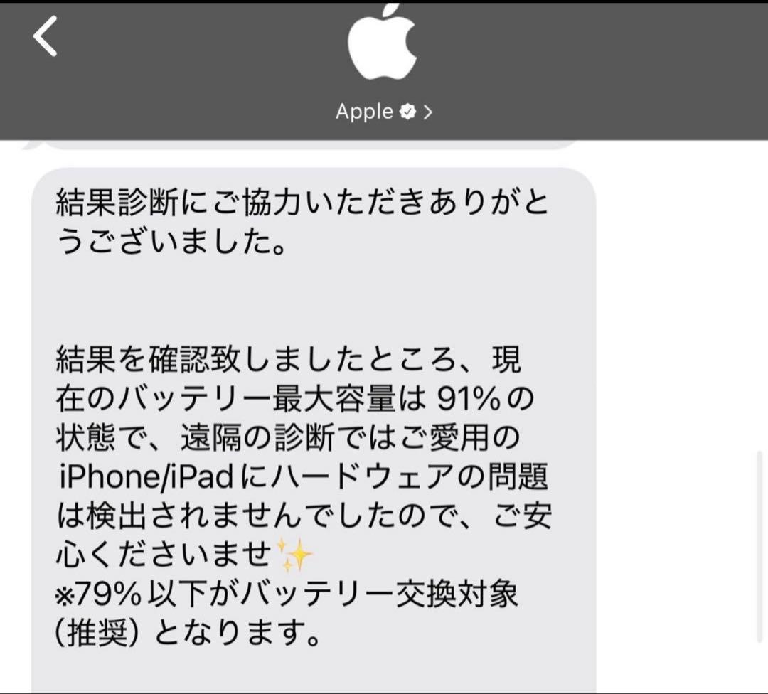 iPad Pro 12.9Wi-Fiモデル 512GB