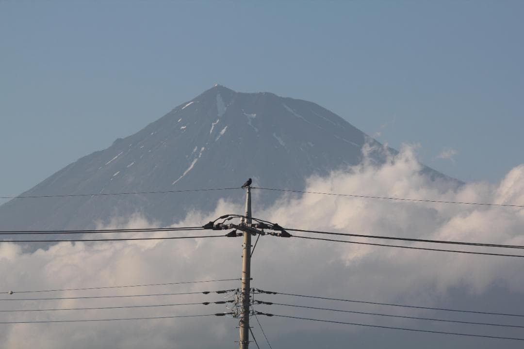 シグマ APO 150-500mm F5-6.3 DG キャノン用