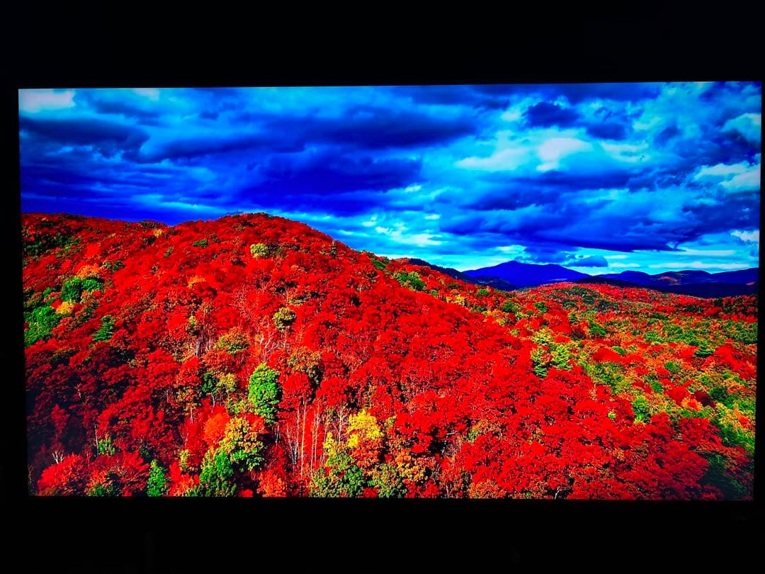 BENQ EW3280U 32インチ 4Kモニター　スピーカー不良