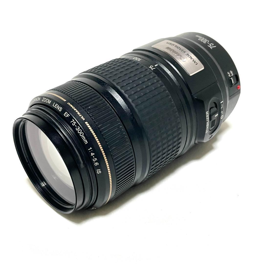 動く一瞬を捉える❣️ Canon EF 75-300mm IS USM 超望遠