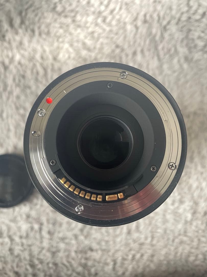 SIGMA 100-400mm F5-6.3 DG キヤノンEFマウント