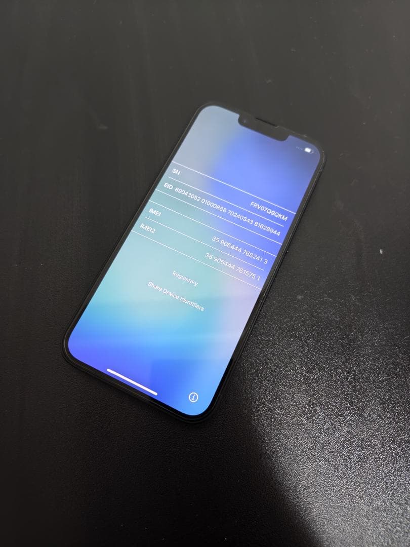 【使用六か月】Apple iPhone16e 256GB ブラック