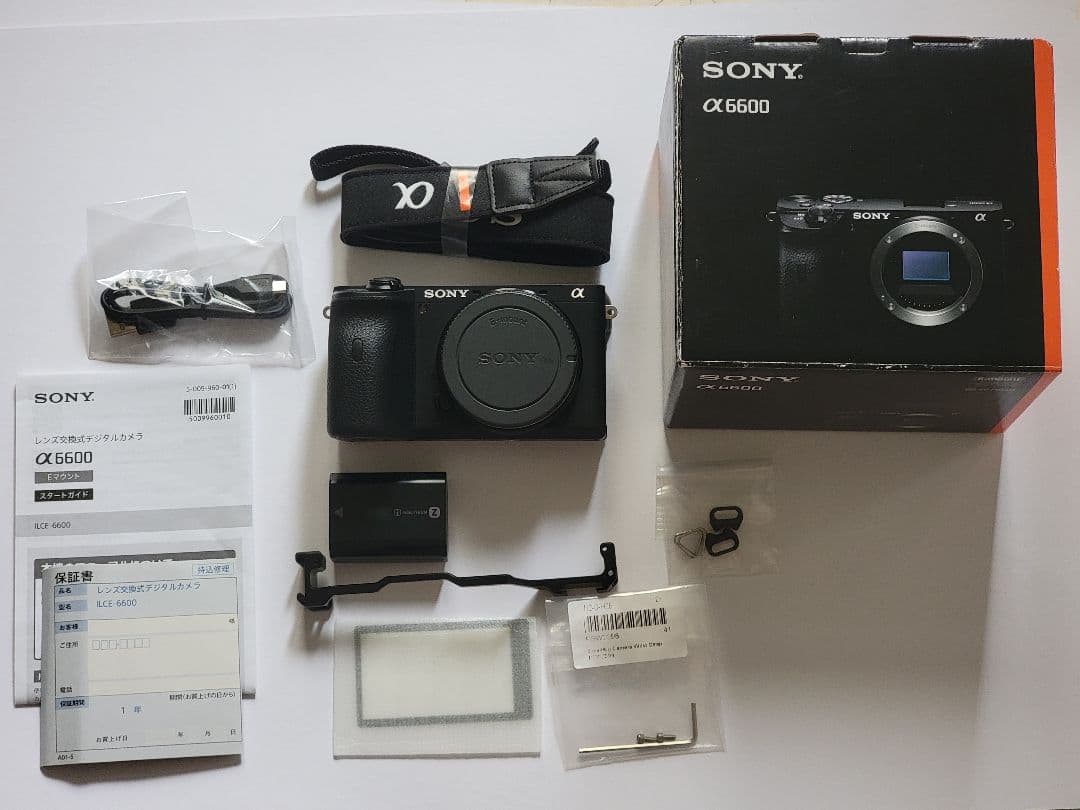 SONY α6600 ゲージ付