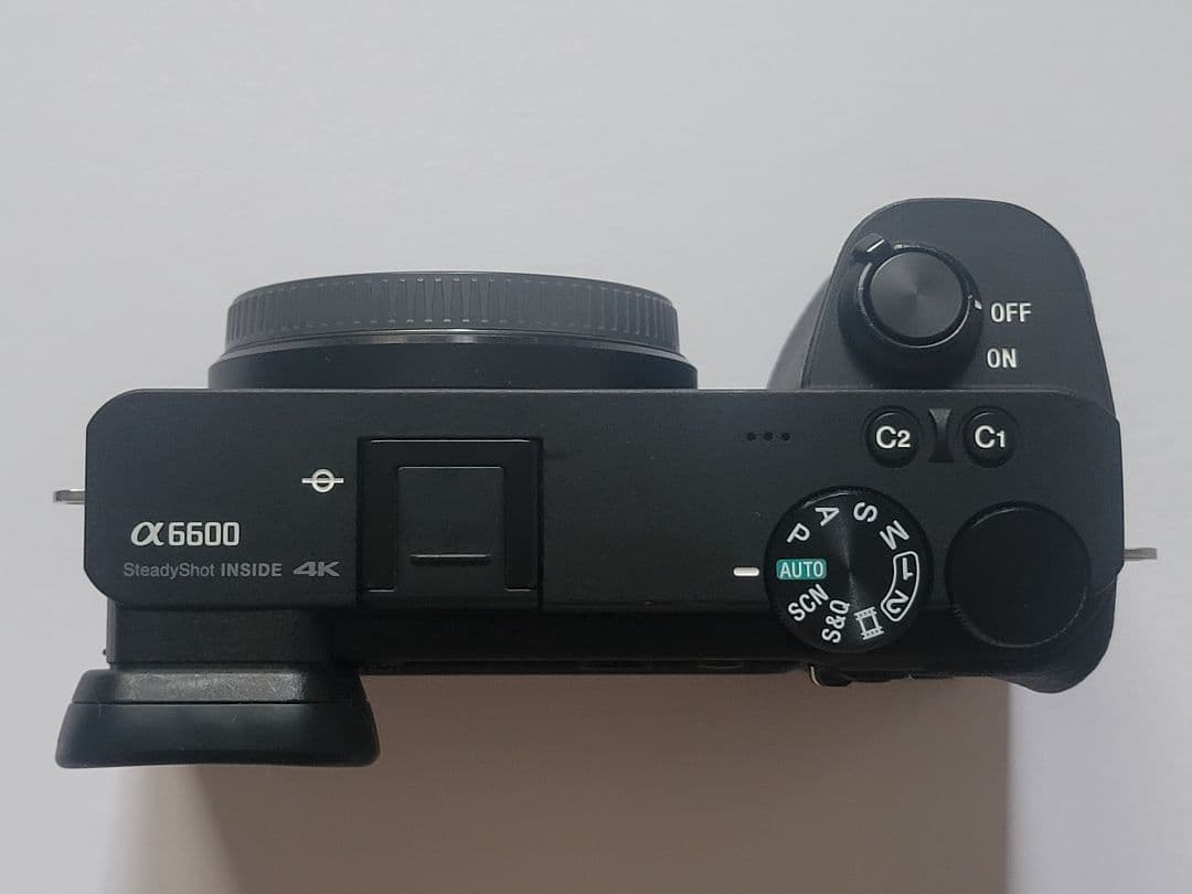 SONY α6600 ゲージ付