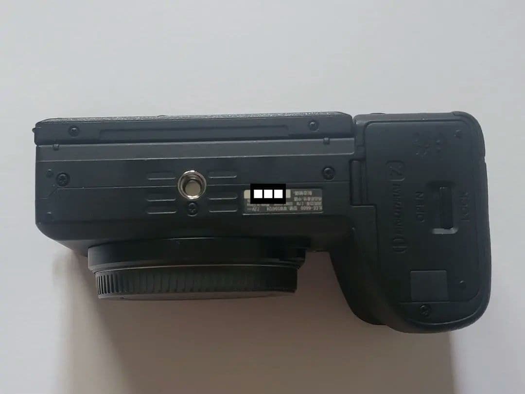 SONY α6600 ゲージ付