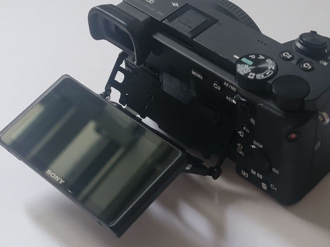 SONY α6600 ゲージ付