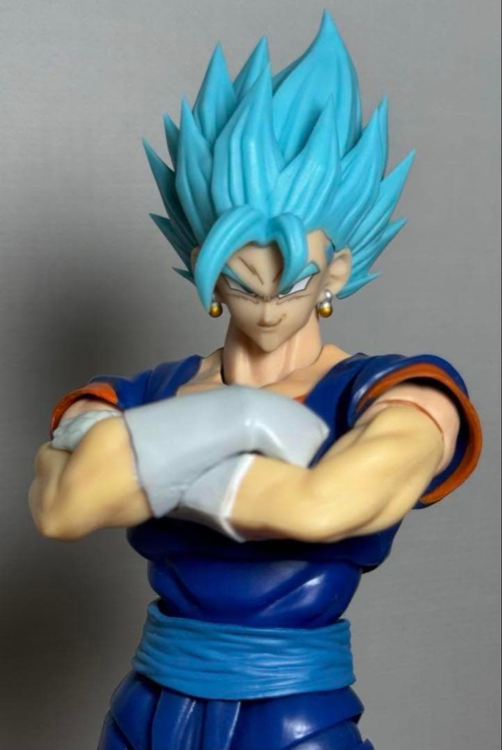 S.H.Figuarts用 ベジット ブルー　カスタムヘッドパーツ