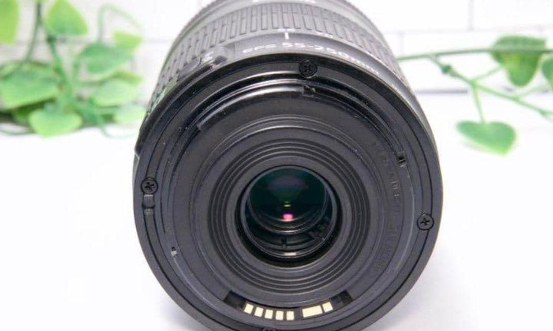 1月27日限定価格【美品】Canon EF-S 55-250mm IS STM
