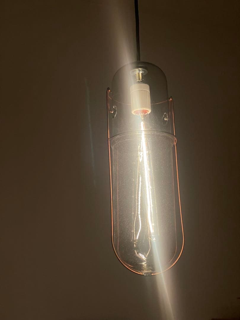 ピーターアイビー peter ivy capsule lighg L