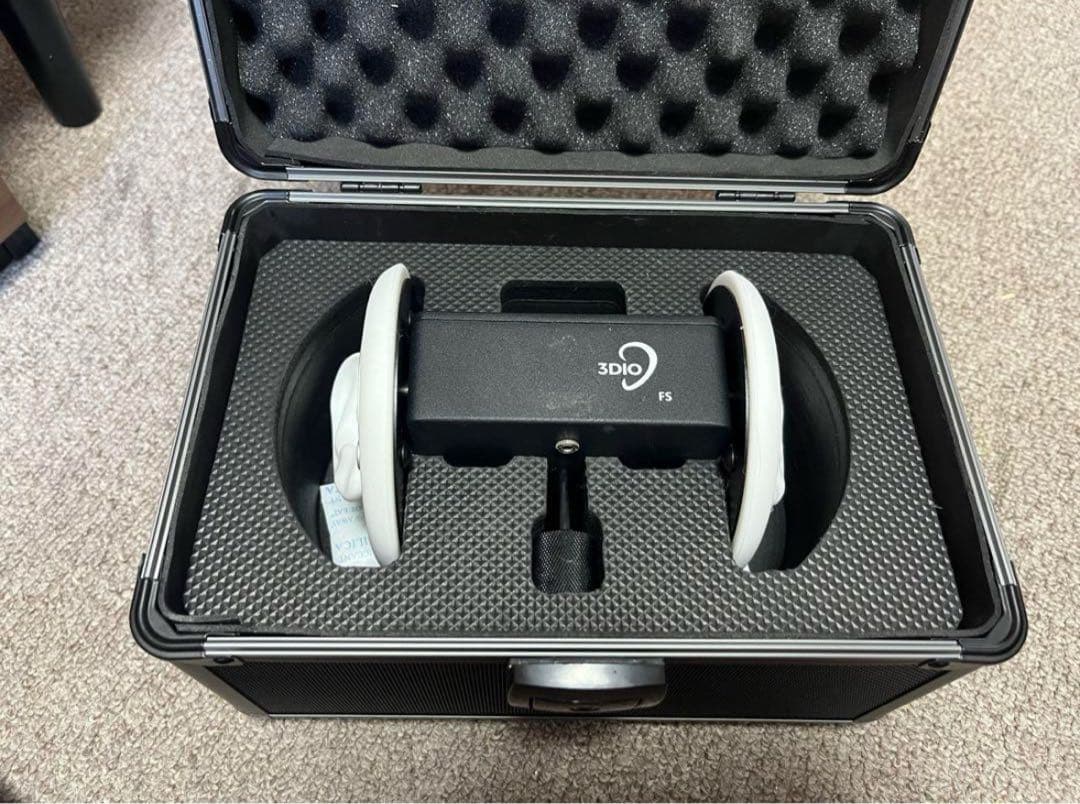 3Dio free space 最終値下げ 早い者勝ち