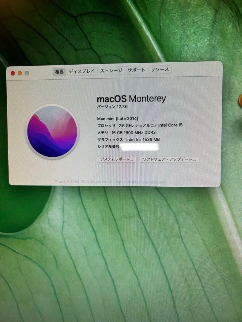 Apple Mac mini Late 2014 16GB 本体と電源ケーブル