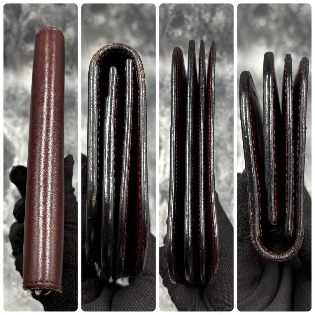 ✨美品✨ワイルドスワンズ ブリスターL 長財布 ダークブラウン スリッカー付