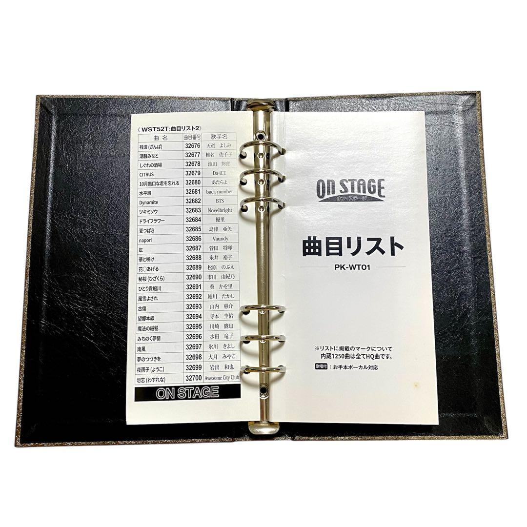 【マイク2本】オンステージ パーソナルカラオケ PK-WT01 別売曲チップ付き