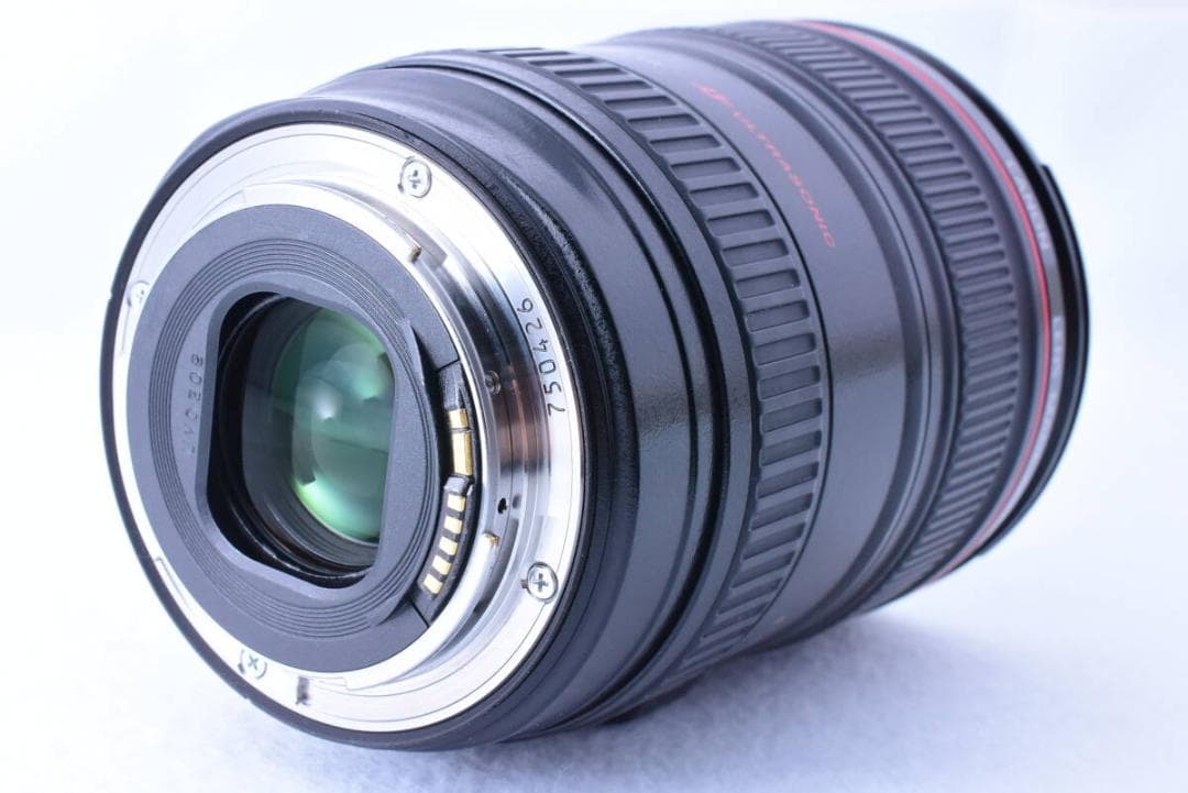 【❄高級Lレンズ❄】Canon EF 24-105mm F4 L IS USM