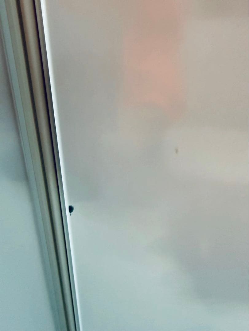 東京都23区(送料込み) アレジア　冷蔵庫ノンフロン　2ドア (TPO4891)