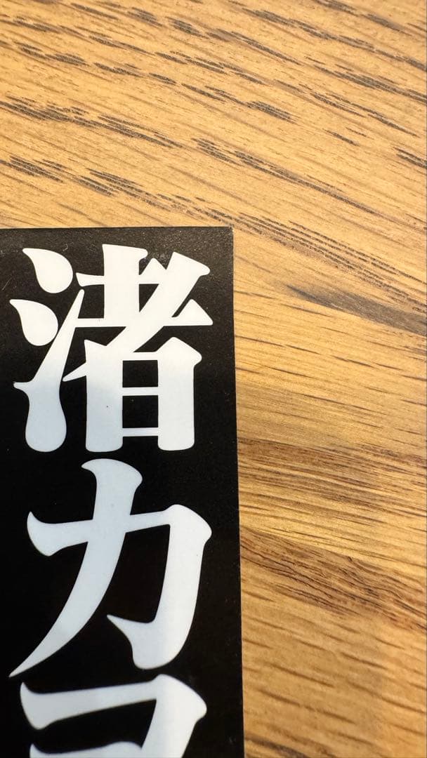 新世紀エヴァンゲリオン 渚 カヲル　1996年キャンペーン当選商品　非売品