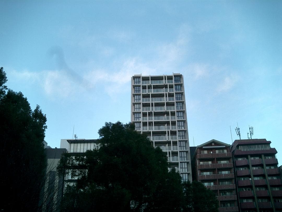 【スマホ転送OK】カシオ CASIO EXILIM EX-S3 デジタルカメラ