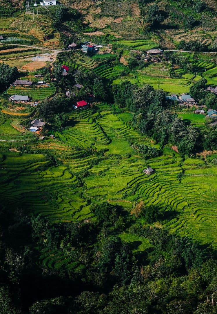 【作例付き】Fujinon XF16mmF1.4 R WR レンズ