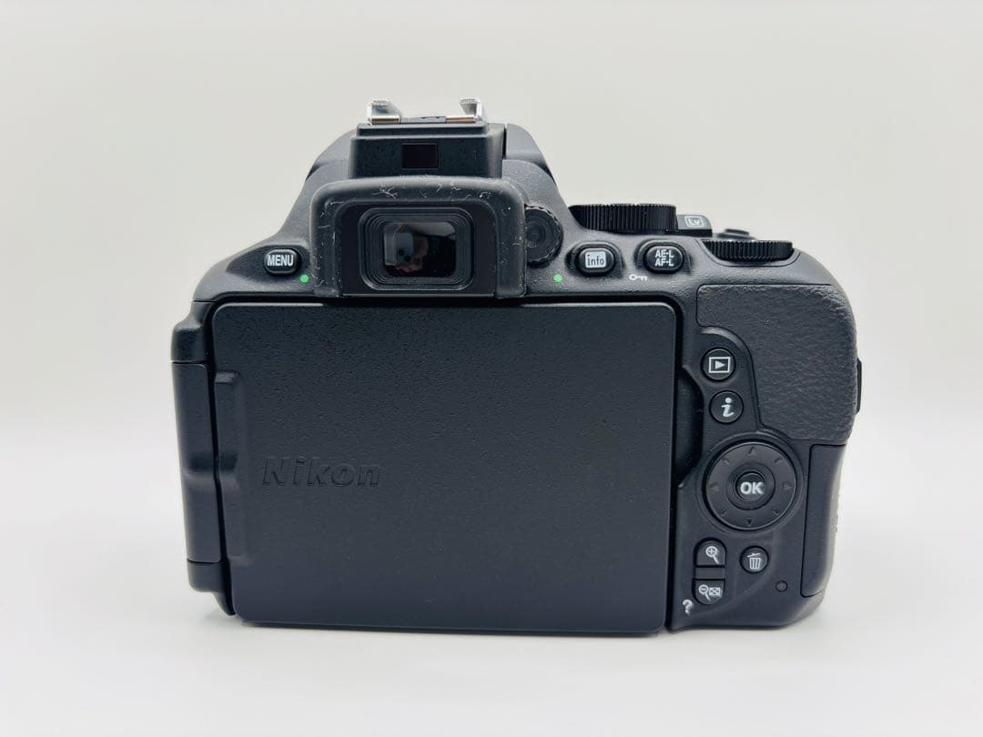 【美品・完動品】Nikon D5600 AF-P 18-55mm レンズキット