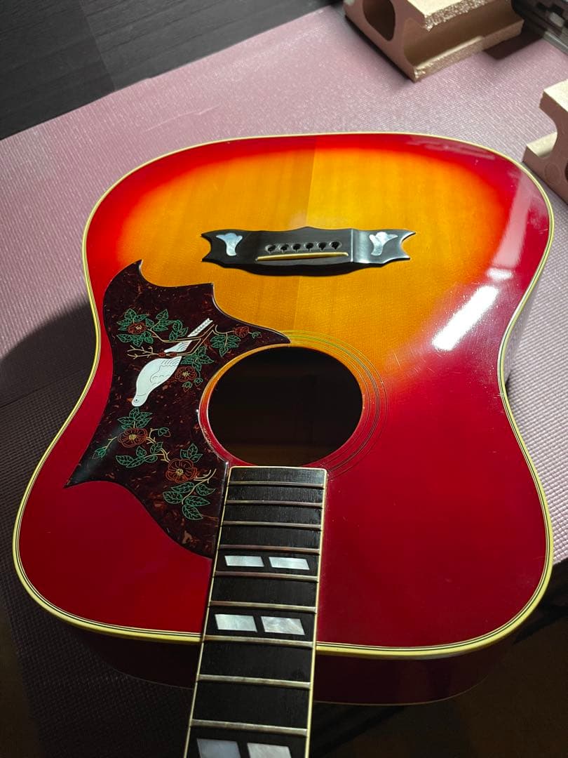 Itami！Gibson Dove 1981年製