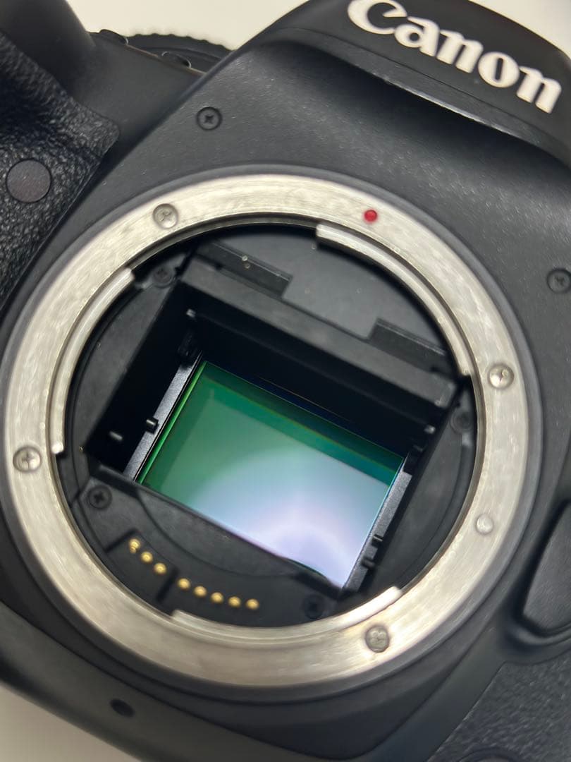 CANON EOS 5D Mark4 ボディ本体