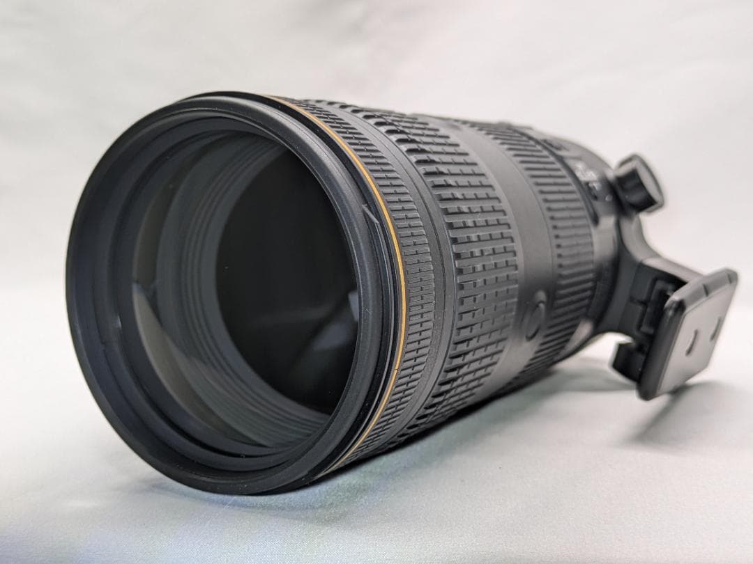 レンズ(ズーム) Nikon AF-S 70-200mm 2.8 E FL ED VR #312