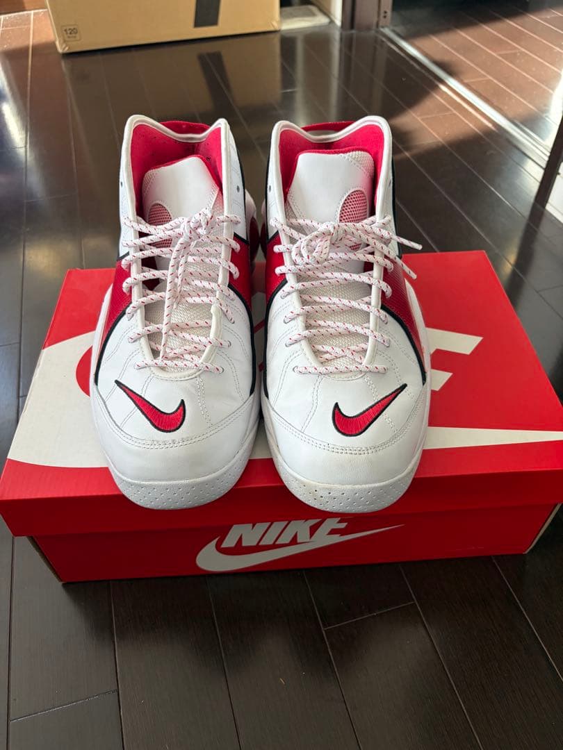 NIKE エアーズームフライト　95