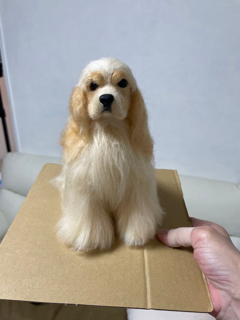 Aya.flower　アメリカンコッカースパニエル