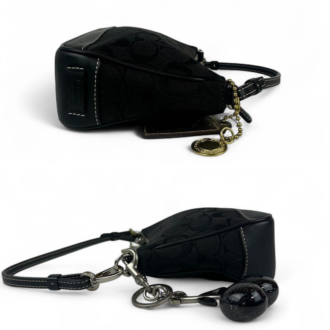 【極美品】コーチ アクセサリーポーチ チェリーチャーム 黒 6094 C5