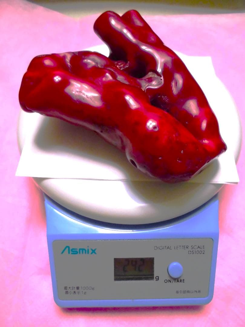 中国美術　天然　赤珊瑚　原木　骨董　珊瑚