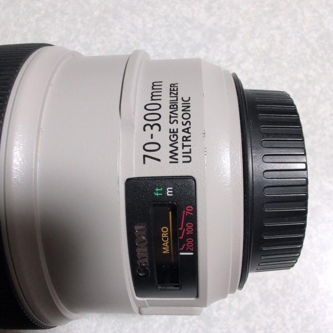 CANON EF70-300mm F4-5.6L IS USM 元箱付き
