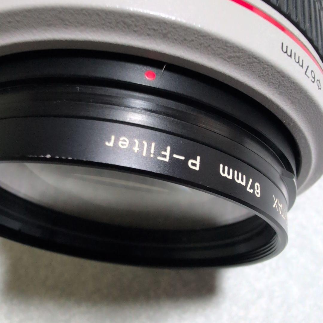 CANON EF70-300mm F4-5.6L IS USM 元箱付き