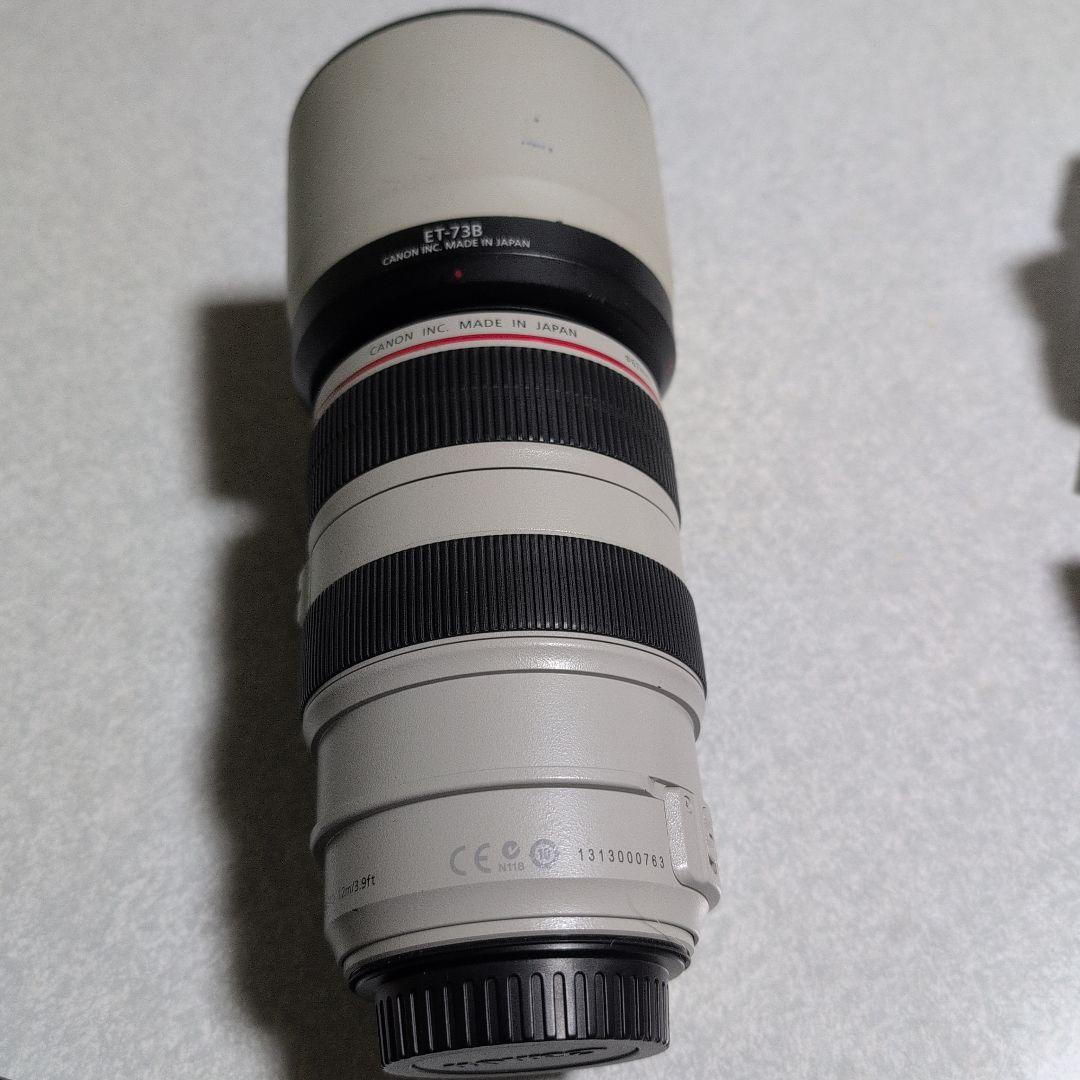 CANON EF70-300mm F4-5.6L IS USM 元箱付き