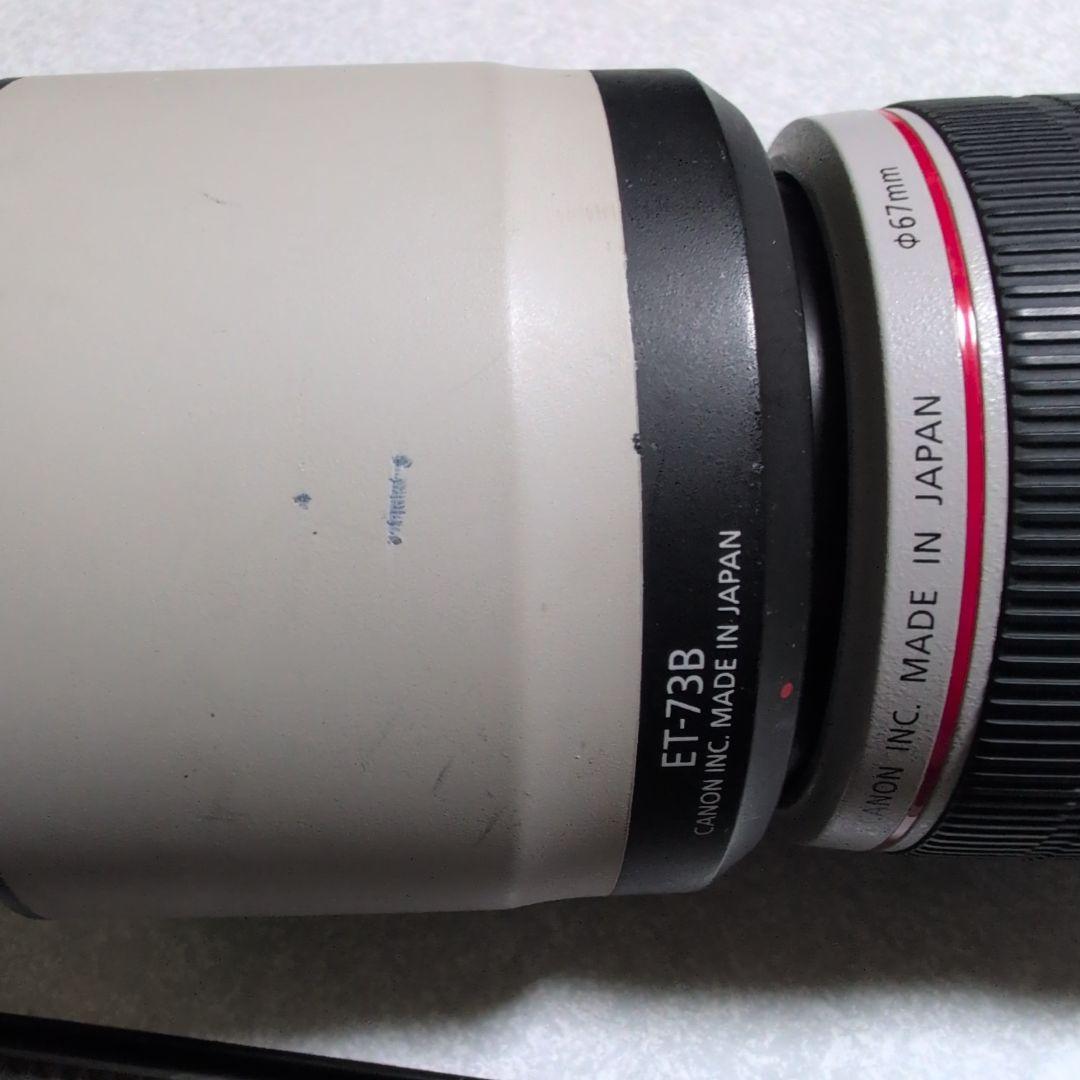 CANON EF70-300mm F4-5.6L IS USM 元箱付き