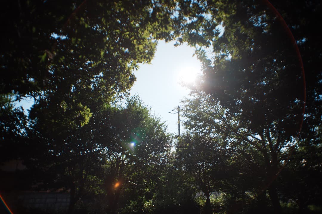 【極美品】Nikon Ai-s Nikkor 20mm F2.8 ニコン 402