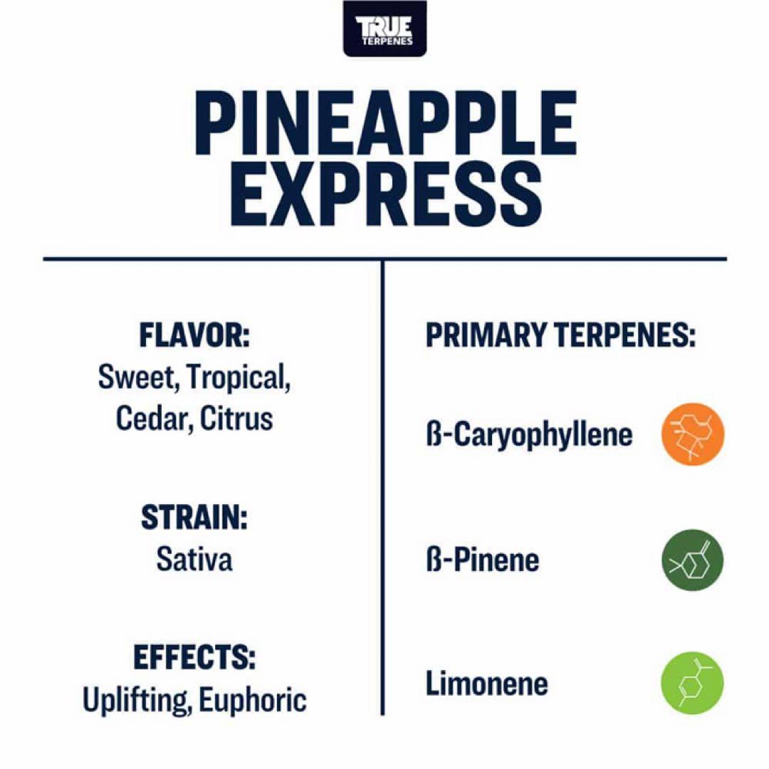 【15ml】Pineapple Express／TrueTerpenesテルペン