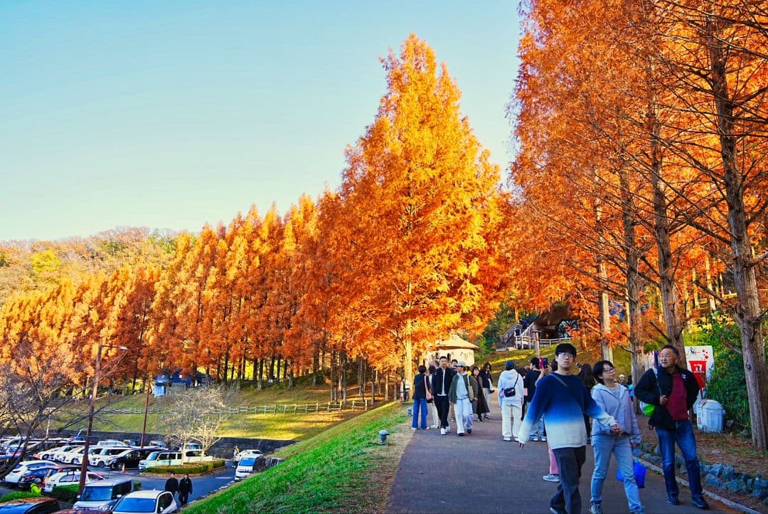 Sony α7 IV ミラーレス一眼 本体と付属品