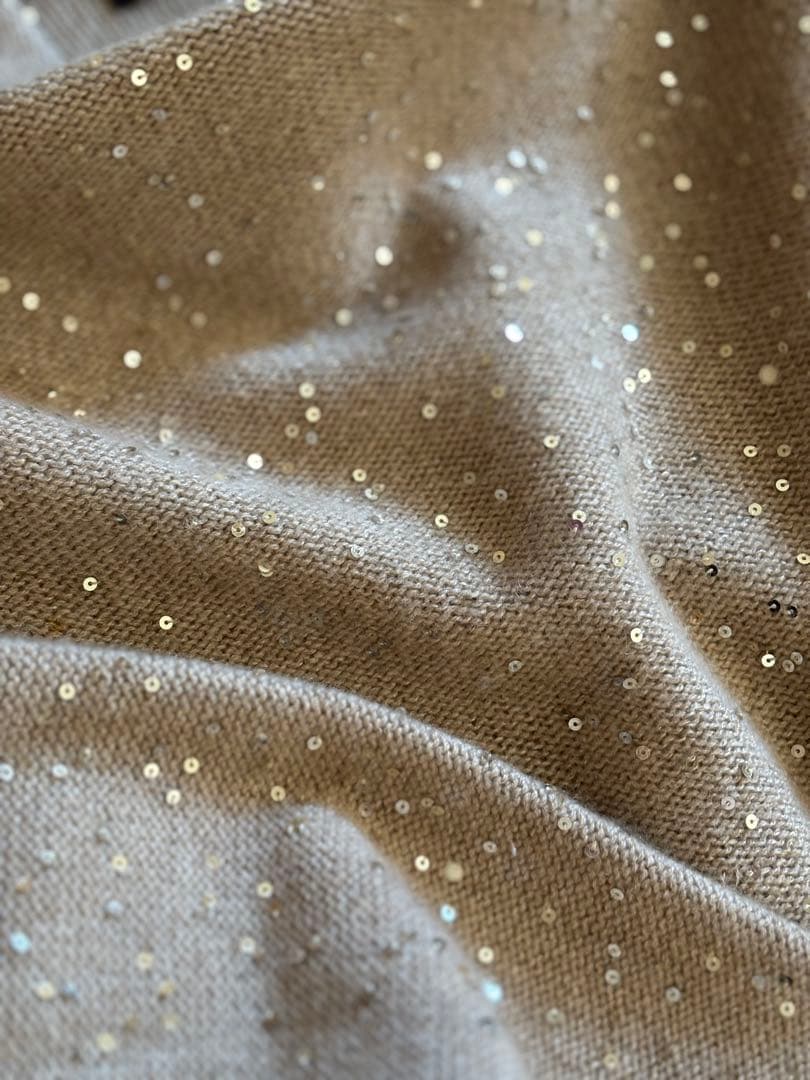 FABIANA FILIPPI ファビアナフィリィピ　カシミヤスパンコールニット