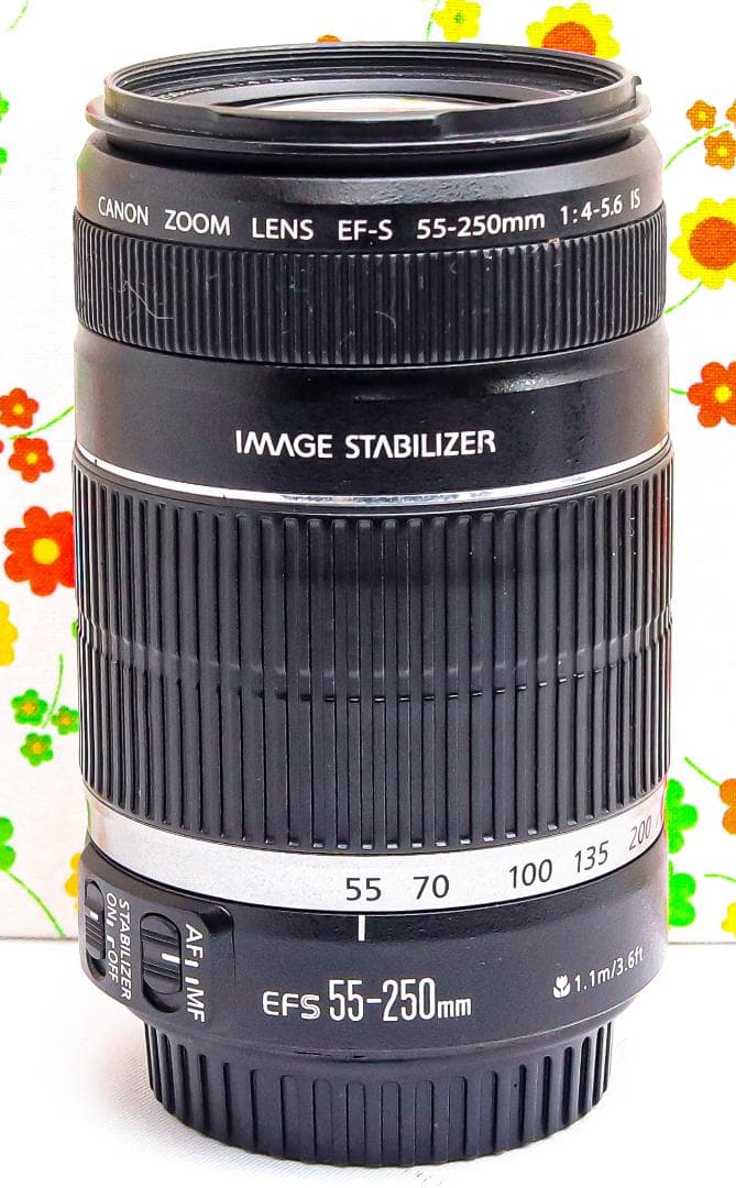 美品 キャノン Canon EF-S 55-250mm IS☆お手軽望遠レンズ♪