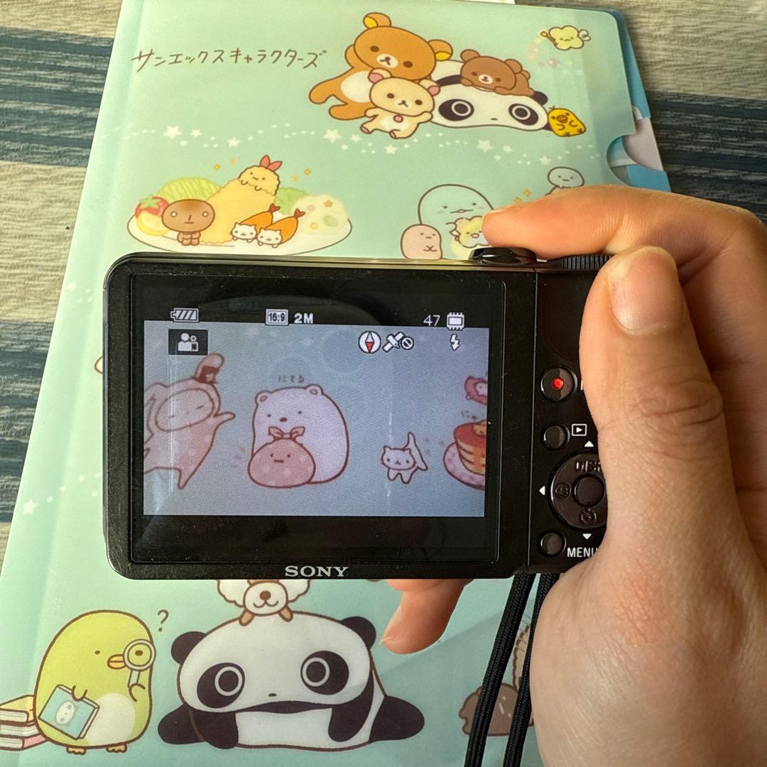 動作品　SONY cybershot DSC-HX5