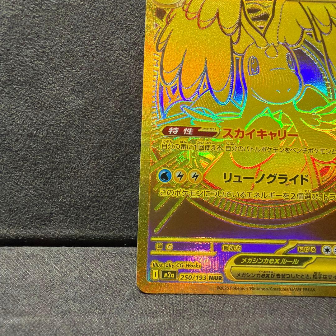 ビ*ア様 メガカイリュー EX MUR