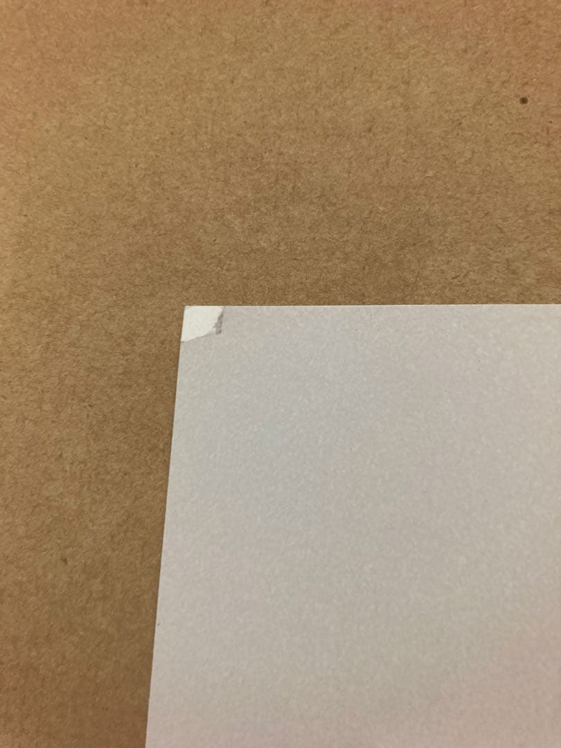 Stussy ステューシー非売品ポスター