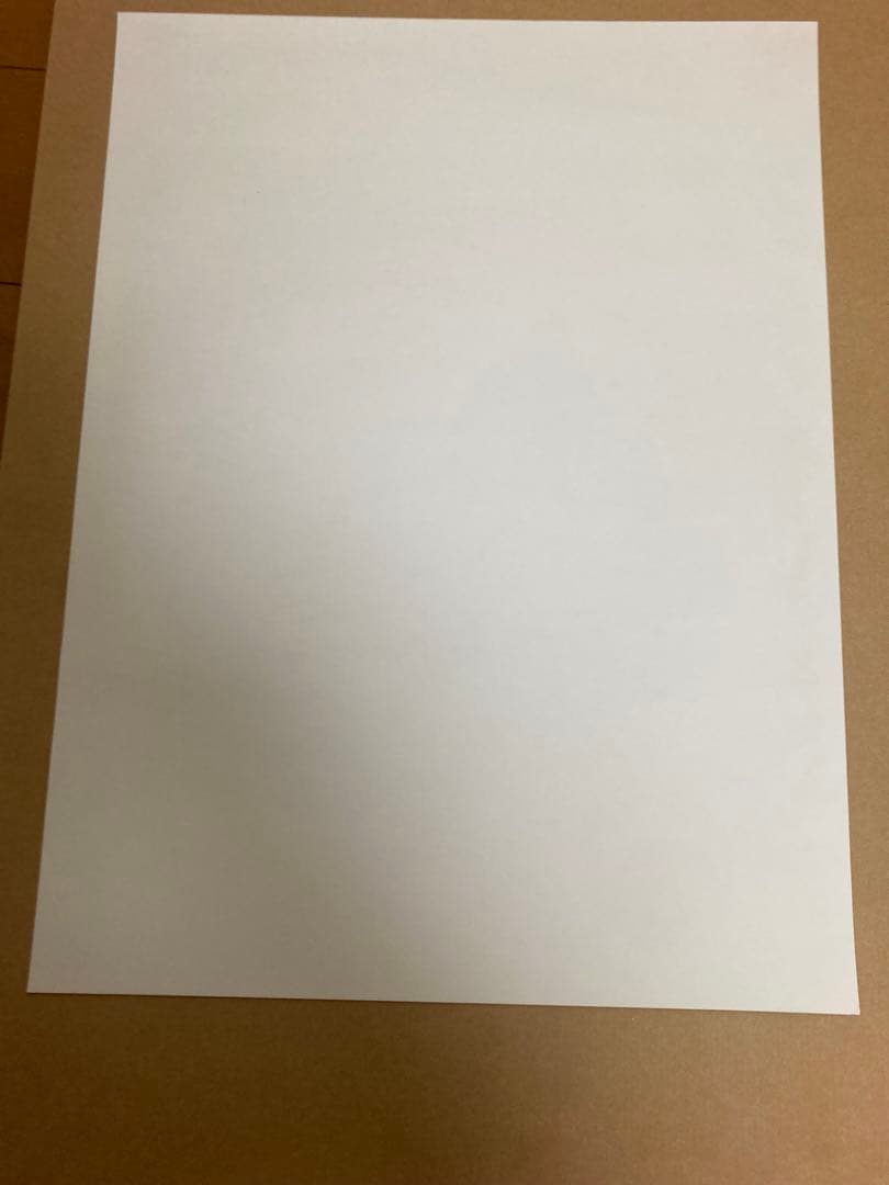 Stussy ステューシー非売品ポスター