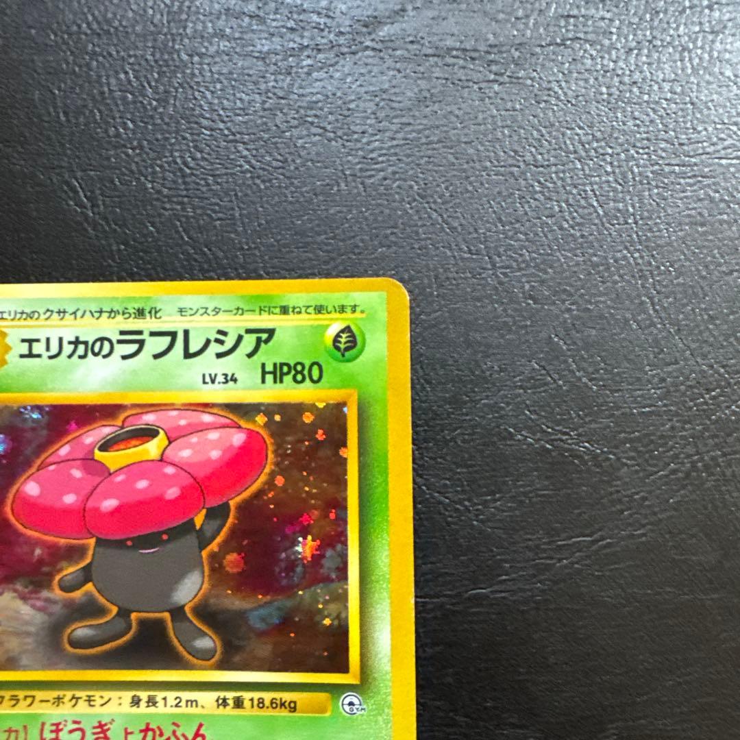 エリカのラフレシア LV34 HP80