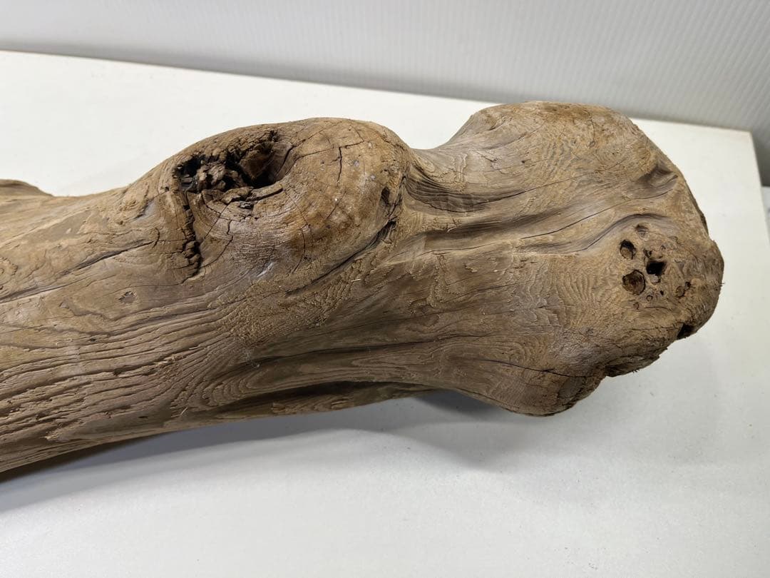 n42特大流木 大型流木 アク抜き済み 爬虫類シェルター レイアウト用 登り木