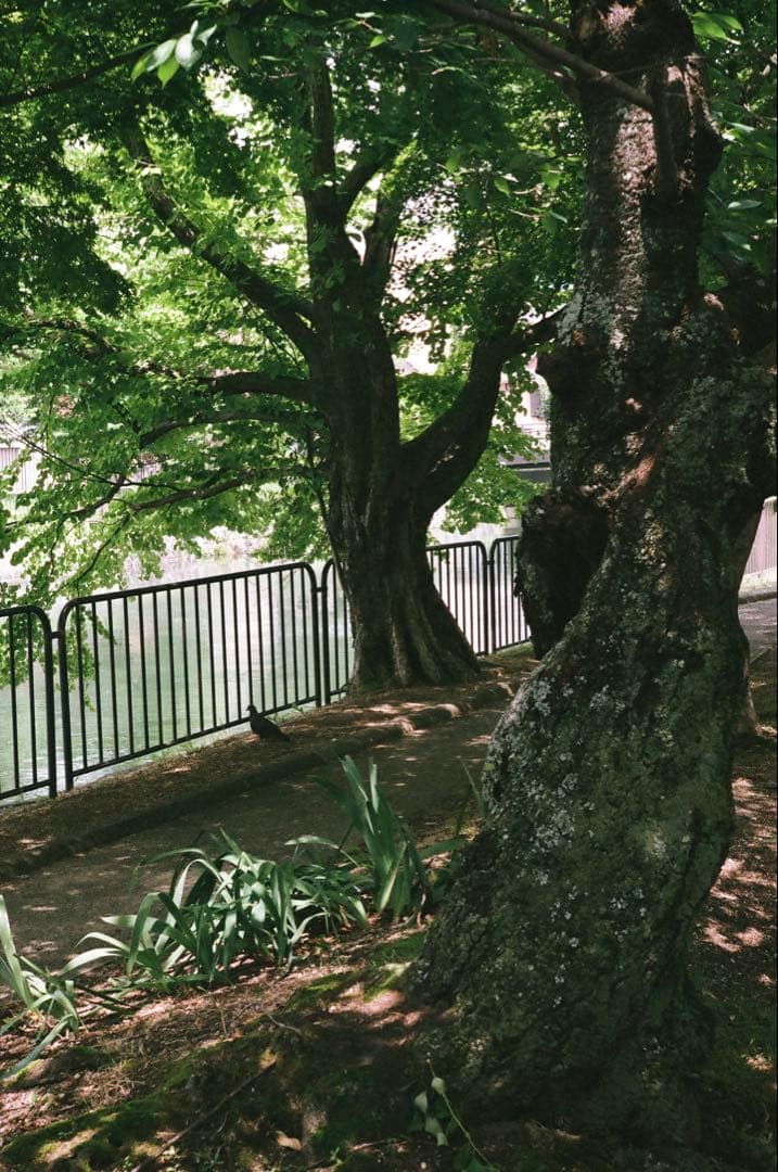 2024年　デッドストック購入品　L39 Jupiter 50mm f2