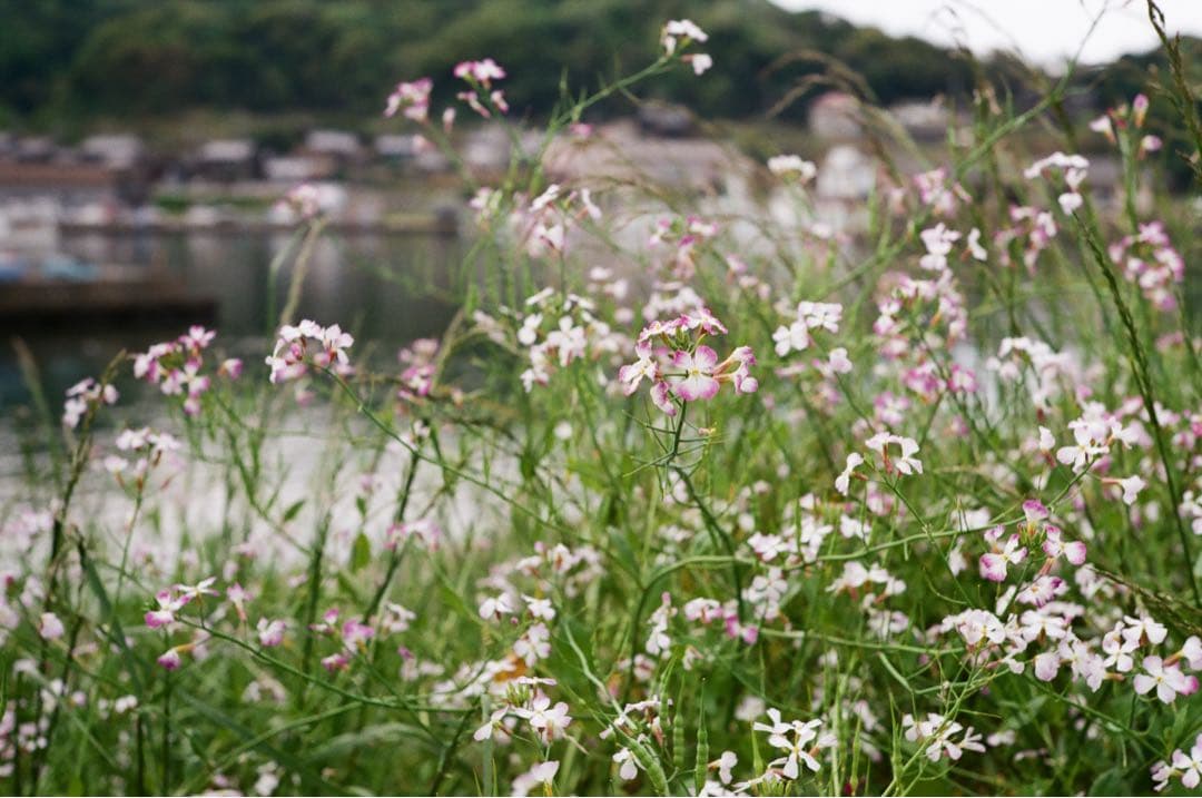 2024年　デッドストック購入品　L39 Jupiter 50mm f2